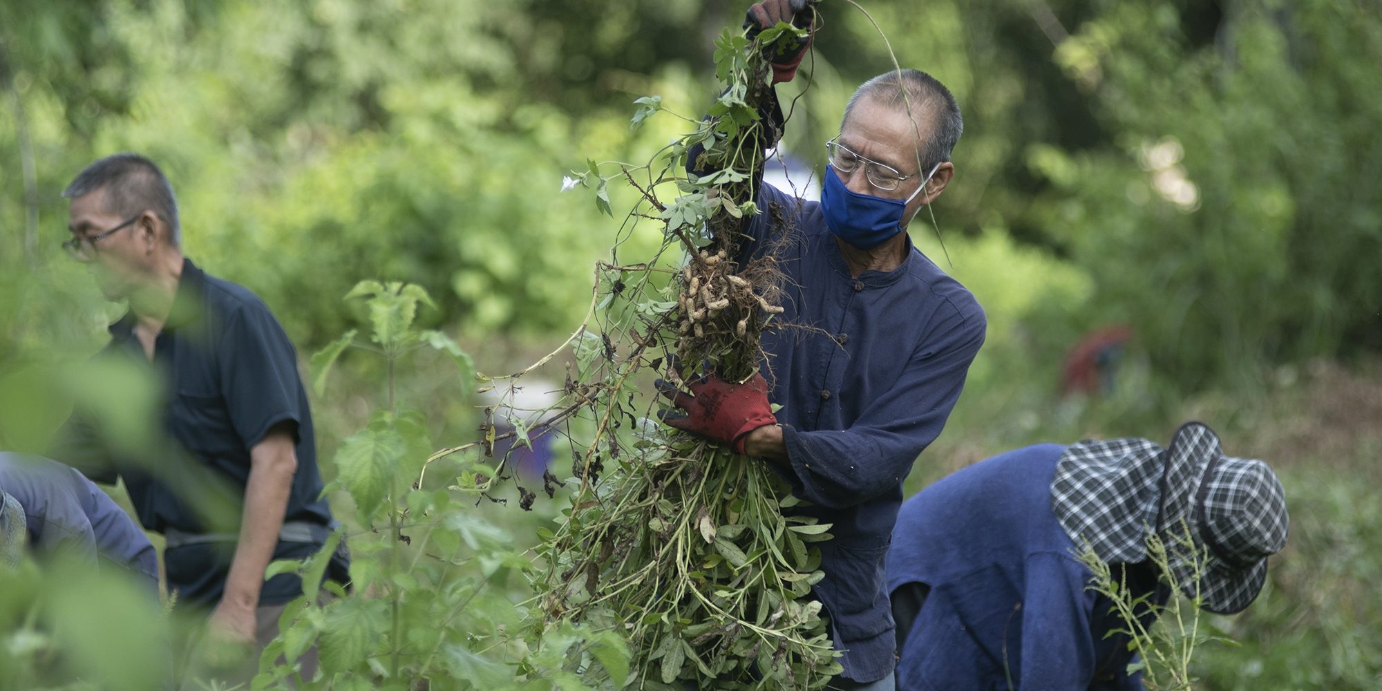 cedb2d801cb165084822373a24e577224_20469929_200820_0032